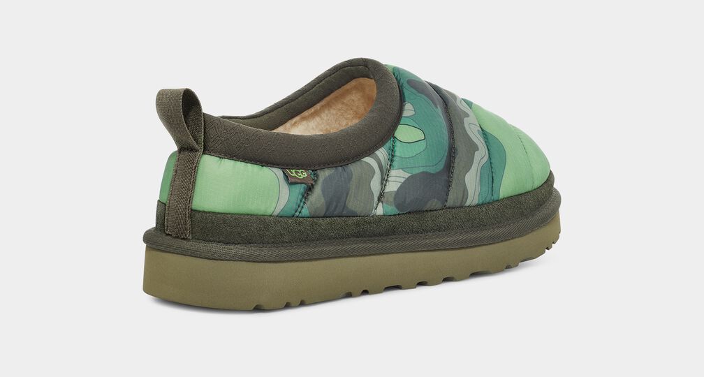 Tasman Lta Cali Topo Tasman Lta Cali Topo