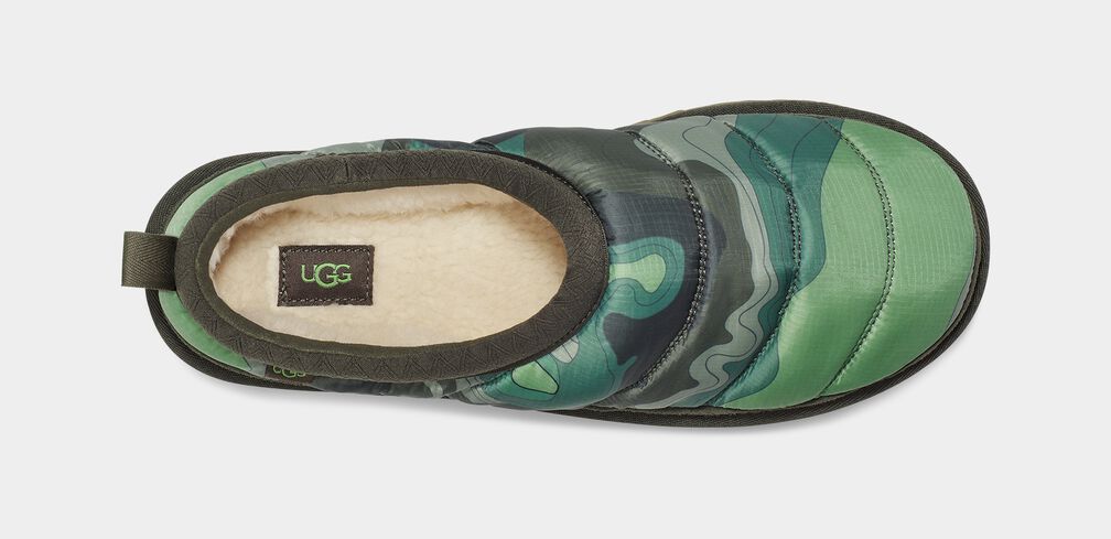 Tasman Lta Cali Topo Tasman Lta Cali Topo
