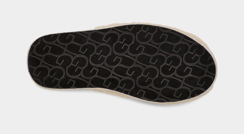 Scuff Curly Graphic Scuff Curly Graphic
