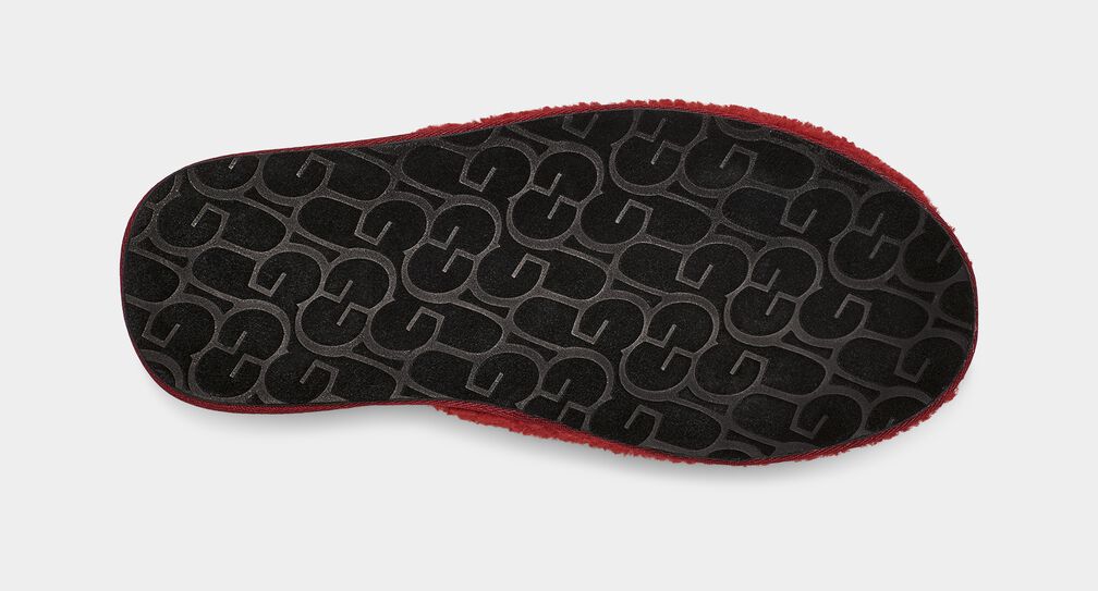 Scuff Curly Graphic Scuff Curly Graphic