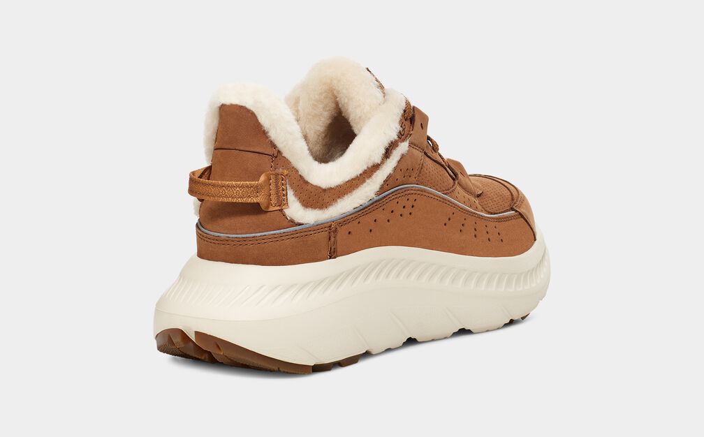 CA805 V2 Heritage CA805 V2 Heritage