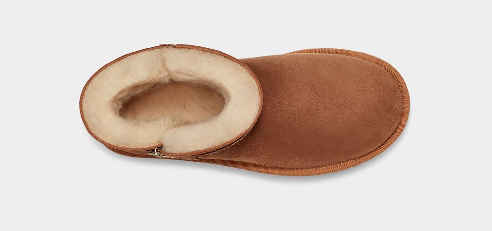 Bailey Zip Mini Bailey Zip Mini