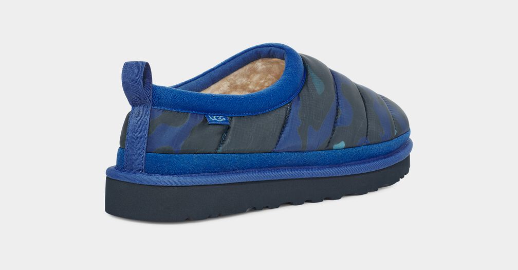 Tasman Lta Cali Topo Tasman Lta Cali Topo