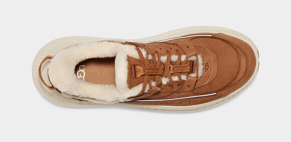 CA805 V2 Heritage CA805 V2 Heritage