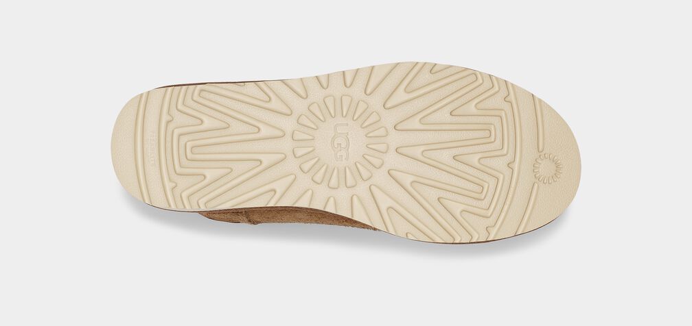 UGG X COTD Classic Short UGG X COTD Classic Short